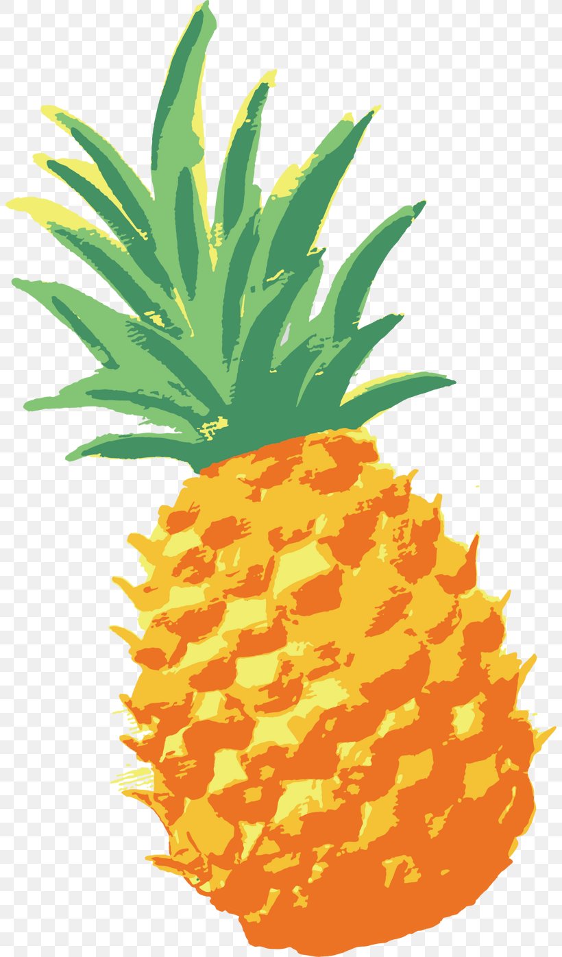 Pineapple Vector Graphics Drawing Image, PNG, 804x1396px, Pineapple, Ananas, Animation, Bromeliaceae, Drawing Download Free