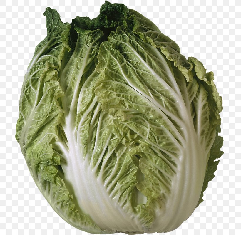 Savoy Cabbage Iceberg Lettuce Salad Vegetable, PNG, 715x800px, Cabbage, Basil, Brassica Oleracea, Chard, Chinese Cabbage Download Free
