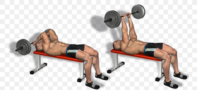 Weight Training Barbell Bench Press Triceps Brachii Muscle Lying Triceps Extensions, PNG, 750x375px, Watercolor, Cartoon, Flower, Frame, Heart Download Free