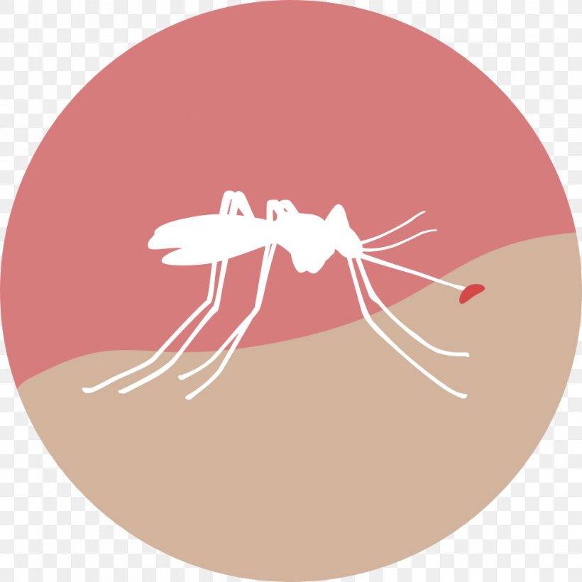 Zika Virus Health Mosquito Zika Fever Medicine, PNG, 996x996px, Watercolor, Cartoon, Flower, Frame, Heart Download Free