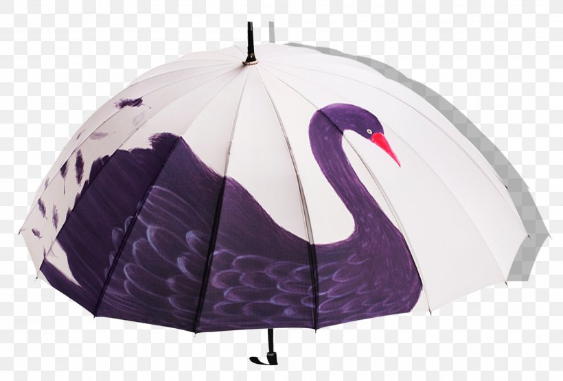 Black Swan Umbrella Sun Umbrella, PNG, 2216x1500px, Watercolor, Cartoon, Flower, Frame, Heart Download Free