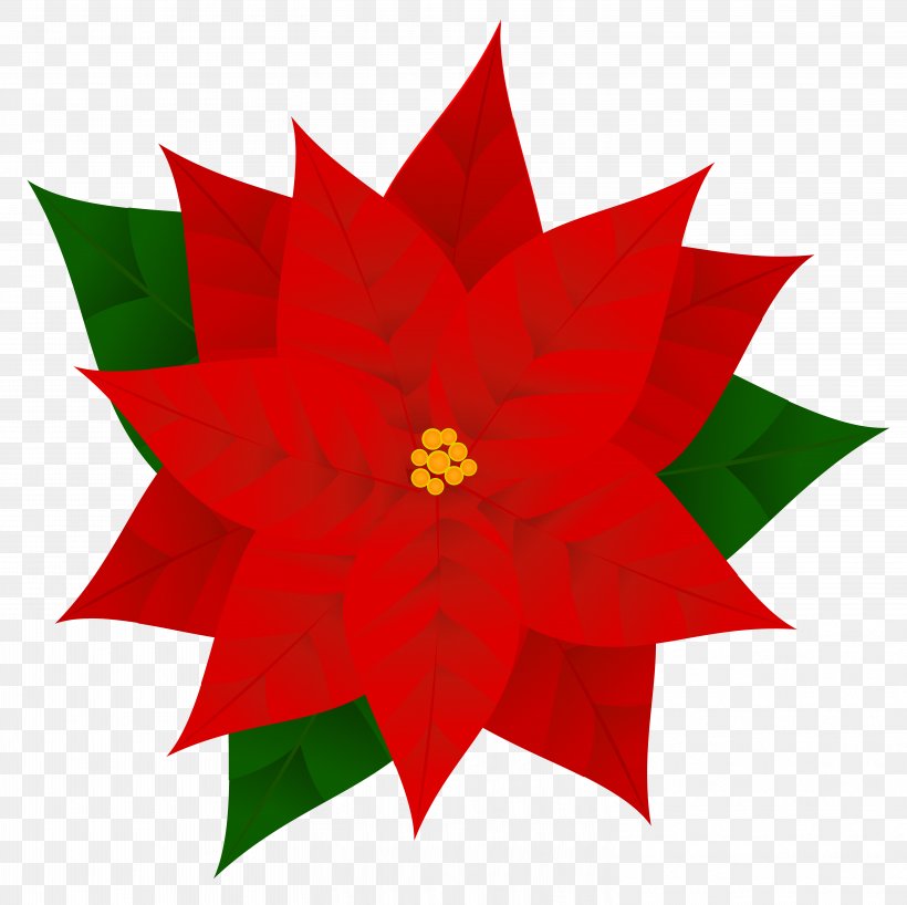 Poinsettia Free Content Clip Art, PNG, 6032x6019px, Poinsettia, Christmas, Christmas Ornament, Color, Flower Download Free