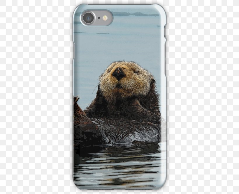 Sea Otter IPhone 7 Mouse Mats Alaska IPhone 6S, PNG, 500x667px, Sea Otter, Alaska, Beaver, Carnivoran, Computer Mouse Download Free
