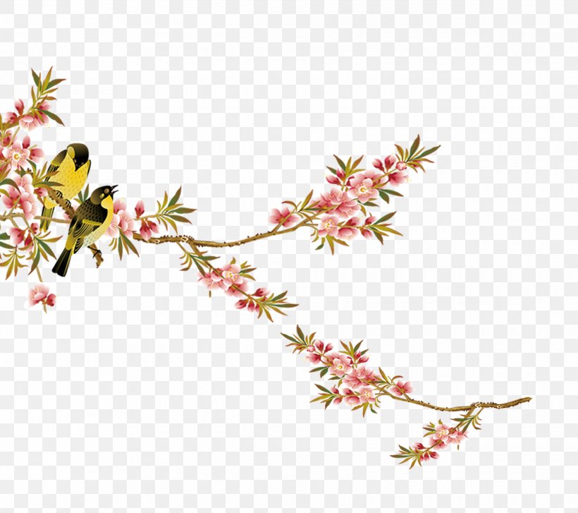 Bird Fishing Flower Download, PNG, 2480x2201px, Bird, Android, Blossom, Branch, Cherry Blossom Download Free