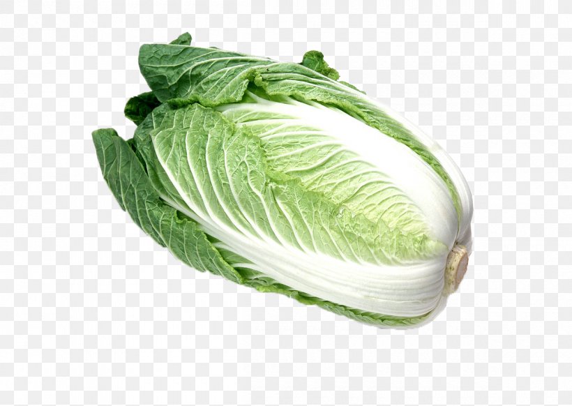 Hot Pot Choy Sum Napa Cabbage Chinese Cabbage Vegetable, PNG, 1200x852px, Hot Pot, Bok Choy, Cabbage, Chinese Cabbage, Choy Sum Download Free