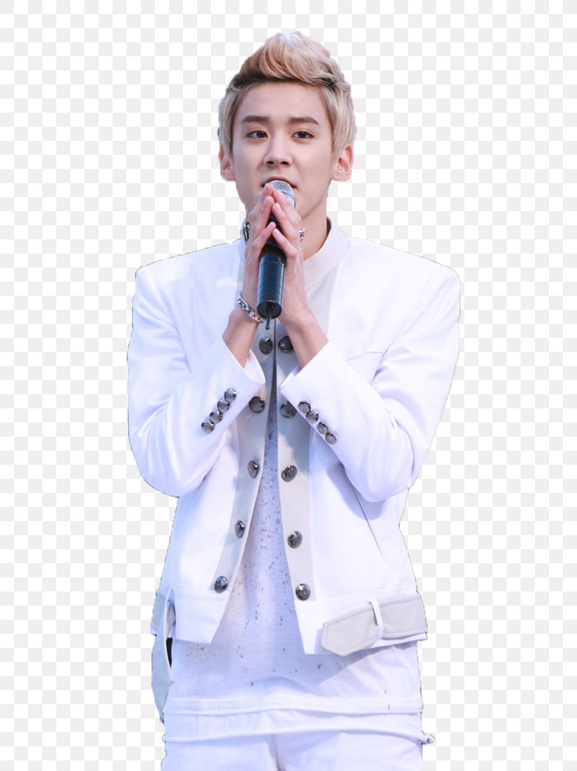 Microphone Outerwear, PNG, 730x1095px, Microphone, Audio, Outerwear Download Free
