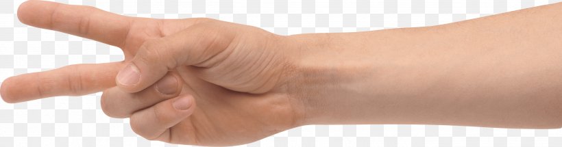 Thumb Design Product, PNG, 2626x691px, Hand, Arm, Chunk, Digit, Finger Download Free