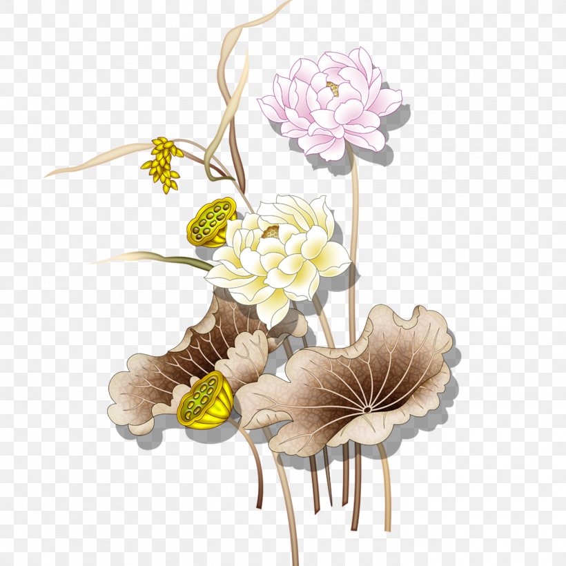 Nelumbo Nucifera Tianshui U611bu84eeu8aaa Lotus Effect, PNG, 1417x1417px, Nelumbo Nucifera, Coreldraw, Cut Flowers, Floral Design, Floristry Download Free