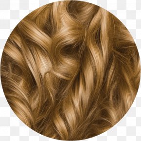 Hair - Blond Hair Coloring Herbal Essences Brown Hair PNG