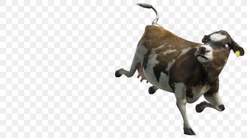 Goat Baka Taurine Cattle Livestock Horn, PNG, 880x495px, Goat, Animal, Antelope, Baka, Bauernhof Download Free