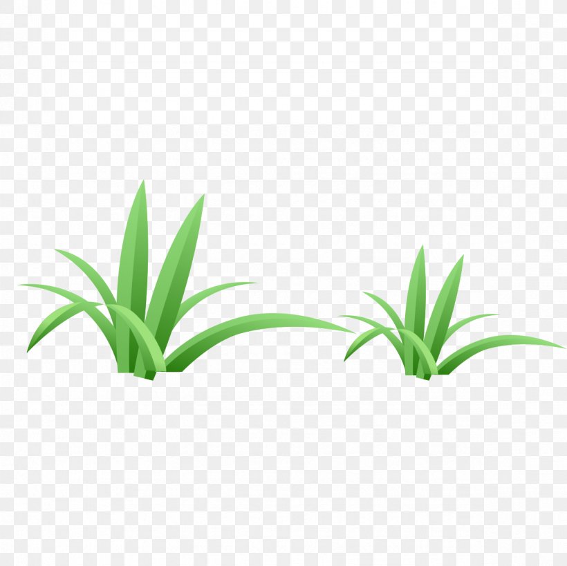 Green Euclidean Vector, PNG, 1181x1181px, Green, Chart, Digital Image, Flowerpot, Grass Download Free