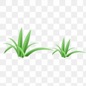 Green Grass - Green Euclidean Vector PNG