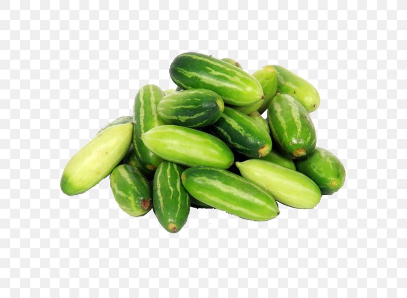 Ivy Gourd Vegetable Pickled Cucumber Food, PNG, 600x600px, Ivy Gourd, Coccinia, Cucumber, Cucumber Gourd And Melon Family, Cucumis Download Free