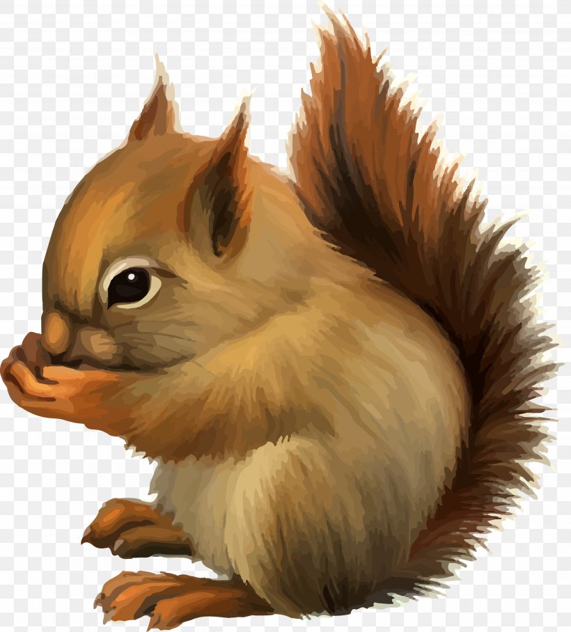 Squirrel Cartoon Cuteness, PNG, 2707x3000px, Squirrel, Carnivoran, Cartoon, Chipmunk, Cuteness Download Free