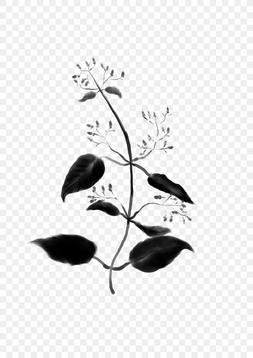 Twig Black & White, PNG, 1280x1811px, Twig, Black M, Black White M, Blackandwhite, Botany Download Free