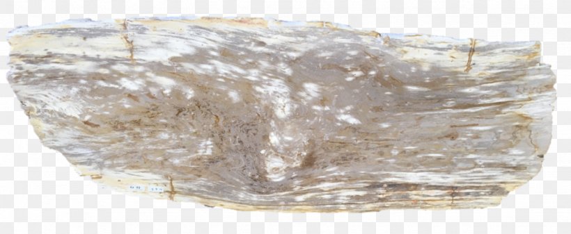 Mineral Petrified Wood Petrifaction Rock, PNG, 1024x421px, Mineral, Body Jewelry, Crystal, Fireplace, Fireplace Mantel Download Free