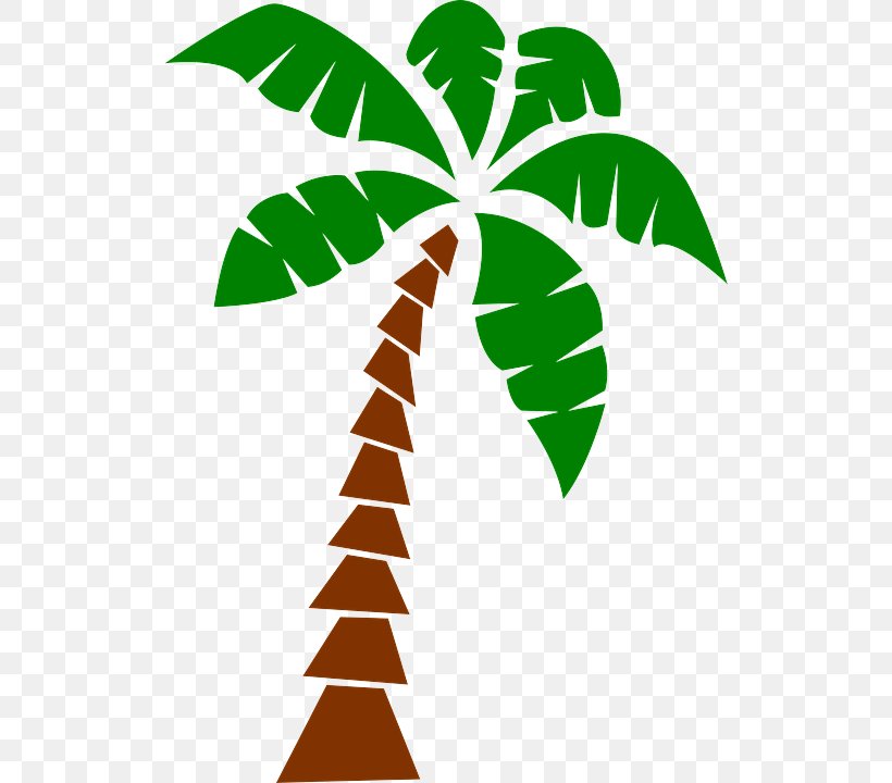 Palm Tree, PNG, 518x720px, Leaf, Arecales, Green, Palm Tree, Plant Download Free