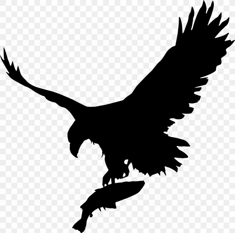 Bald Eagle Vector Graphics Royalty-free Illustration, PNG, 1280x1274px, Eagle, Accipitridae, Accipitriformes, Bald Eagle, Beak Download Free
