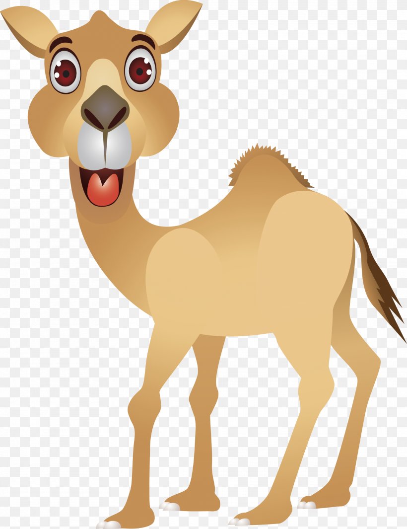 Camel Cartoon Humour Clip Art, PNG, 2025x2632px, Camel, Arabian Camel, Camel Like Mammal, Cartoon, Deer Download Free