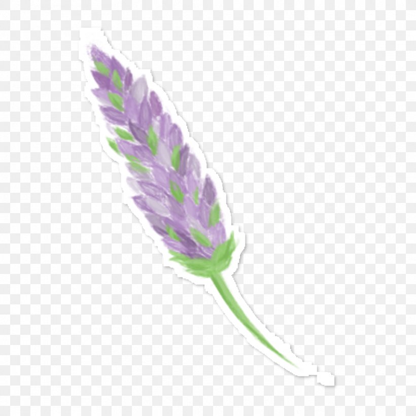 English Lavender Lilac Drawing Violet, PNG, 962x962px, English Lavender, Art, Drawing, Feather, Flower Download Free