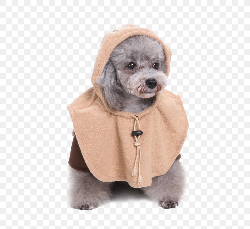 Ewok Dog Breed Leia Organa BB-8, PNG, 750x750px, Ewok, Clothing, Companion Dog, Costume, Dog Download Free