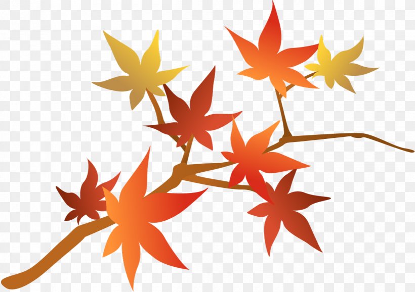 Maple Leaf Clip Art Line, PNG, 1200x847px, Maple Leaf, Flower, Leaf, Maple, Orange Download Free
