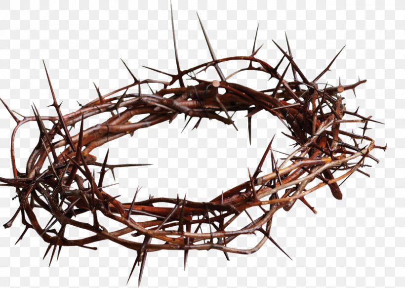Crown Of Thorns Christian Cross Gospel Thorns, Spines, And Prickles Clip Art, PNG, 1280x911px, Crown Of Thorns, Branch, Christian Cross, Christianity, Crucifixion Of Jesus Download Free