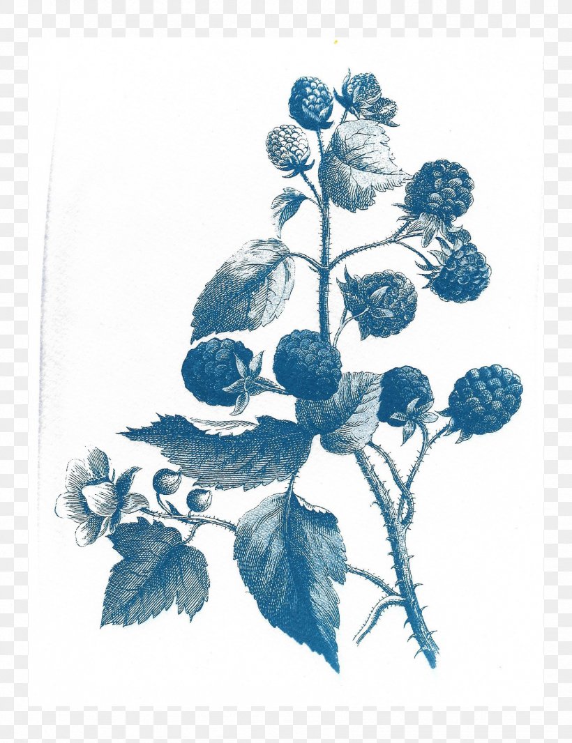 Paper Botanical Illustration Floral Design Drawing Watercolor Painting, PNG, 1701x2213px, Paper, Art, Artwork, Blue, Botanical Illustration Download Free