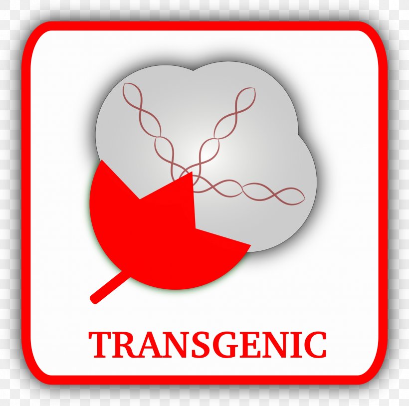 Cotton Transgene Genetically Modified Organism Clip Art, PNG, 2415x2400px, Watercolor, Cartoon, Flower, Frame, Heart Download Free