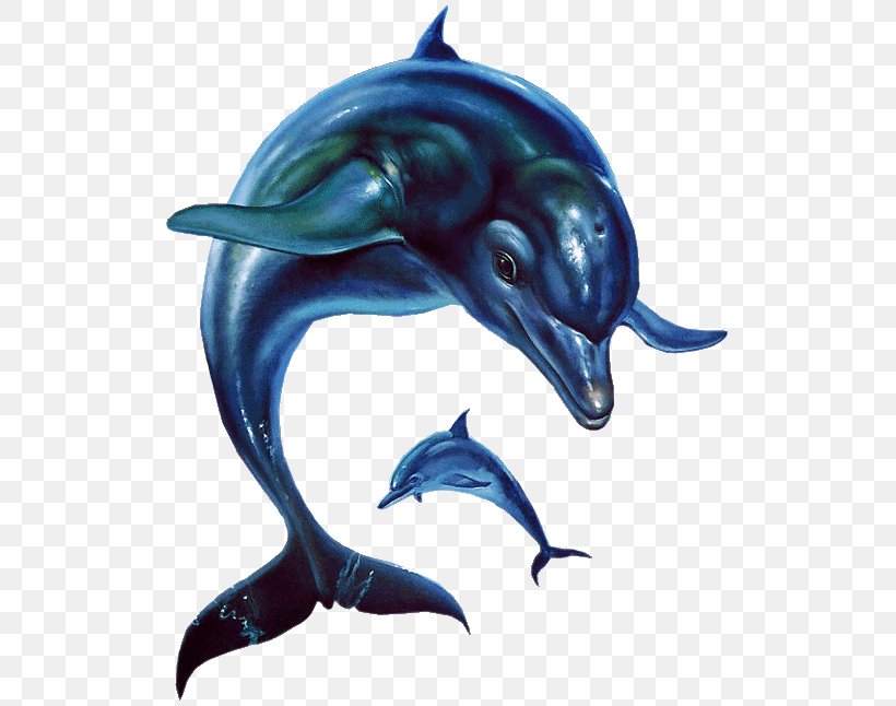 Ecco The Dolphin: Defender Of The Future Ecco: The Tides Of Time Sega CD, PNG, 519x646px, Ecco The Dolphin, Appaloosa Interactive, Aqua Vistas, Beak, Common Bottlenose Dolphin Download Free
