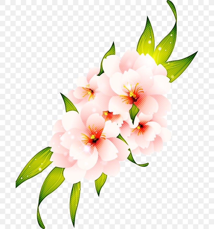 Flower Flowering Plant Petal Plant Pink, PNG, 700x878px, Flower, Blossom, Branch, Cut Flowers, Flowering Plant Download Free