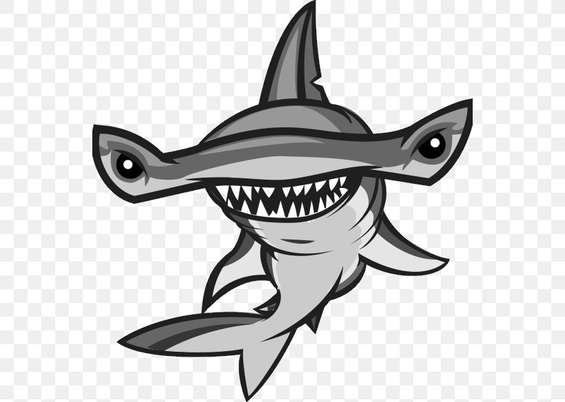Hammerhead Shark Vector Graphics Stock Photography Illustration, PNG, 552x584px, Shark, Black, Black And White, Cartilaginous Fish, Cartoon Download Free