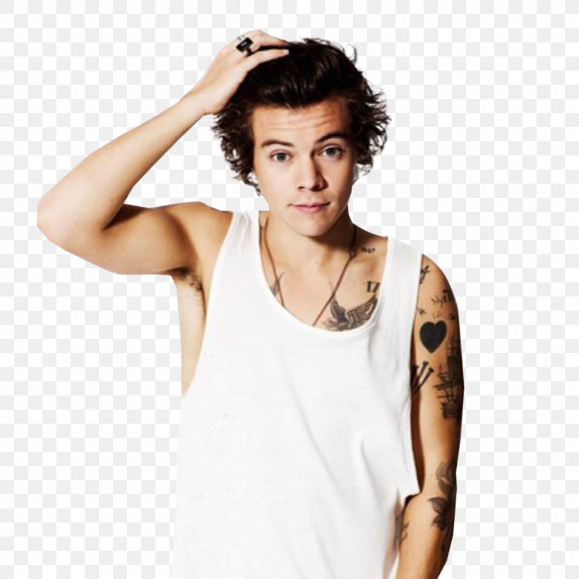 Harry Styles One Direction Photo Shoot Boy Band, PNG, 1024x1024px, Watercolor, Cartoon, Flower, Frame, Heart Download Free