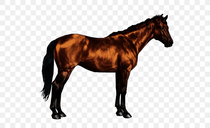 Oldenburg Horse Thoroughbred Stallion Lipizzan Hanoverian Horse, PNG, 600x500px, Oldenburg Horse, Animal, Bay, Bit, Black Download Free