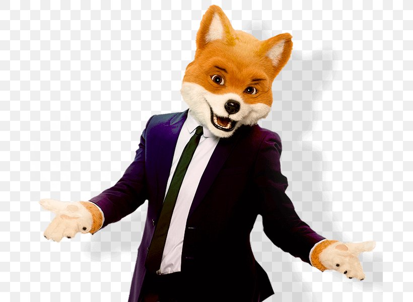 Foxy bingo sign up offer