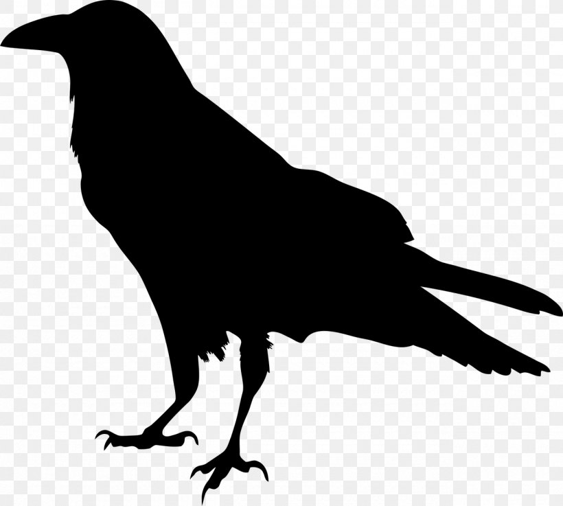 Silhouette Drawing Clip Art, PNG, 1280x1151px, Silhouette, American Crow, Beak, Bird, Black And White Download Free