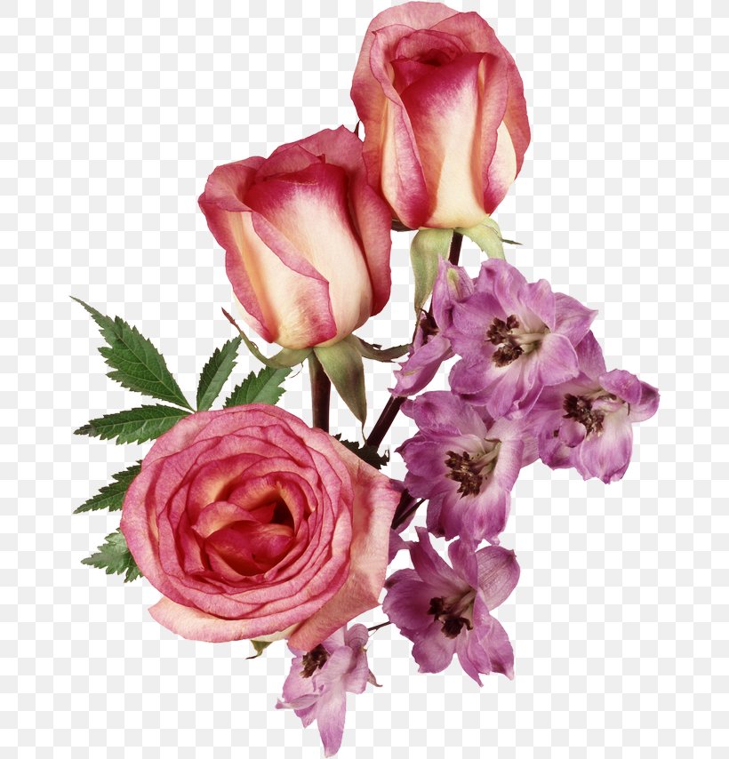 Still Life: Pink Roses Flower Clip Art, PNG, 670x854px, Still Life Pink Roses, Bigpoint Games, Cut Flowers, Floral Design, Floribunda Download Free