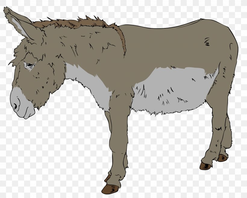 Benjamin Donkey Free Content Clip Art, PNG, 2000x1606px, Benjamin, Blog, Cattle Like Mammal, Donkey, Free Content Download Free