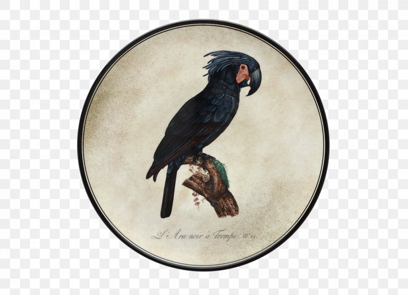 Doccia Porcelain Parrot Macaw Bird, PNG, 1412x1022px, Doccia Porcelain, Beak, Bird, Carlo Ginori, Dish Download Free