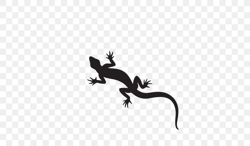 Gecko Lizard New Zealand Fantail Silhouette, PNG, 640x480px, Gecko, Black, Black And White, David Lange, Fantail Download Free