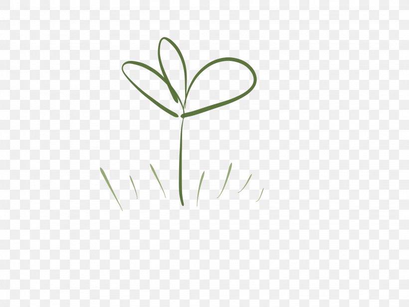 Logo Leaf Font Plant Stem Flower, PNG, 2048x1536px, Logo, Flora, Flower, Grass, Grass Family Download Free