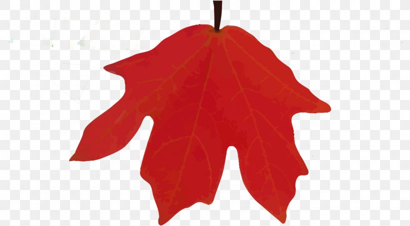 Lost Maples State Natural Area Maple Leaf Camping Christmas Ornament, PNG, 1450x800px, Lost Maples State Natural Area, Campervans, Camping, Christmas, Christmas Ornament Download Free
