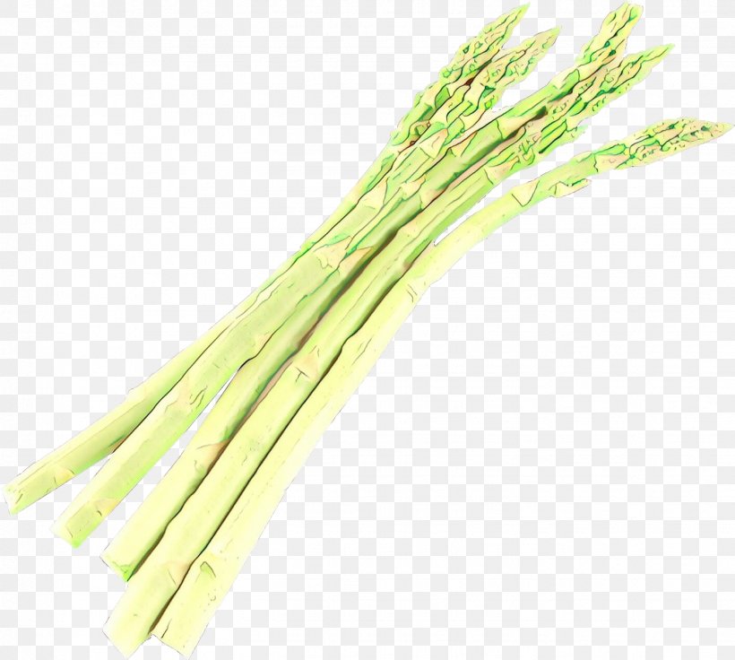 Onion Cartoon, PNG, 1426x1280px, Cartoon, Asparagus, Chives, Commodity, Elymus Repens Download Free