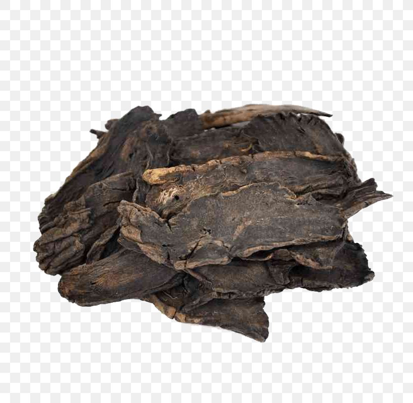 Scrophularia Ningpoensis Chinese Herbology Traditional Chinese Medicine Crude Drug, PNG, 800x800px, Scrophularia Ningpoensis, Animal Source Foods, Charcoal, Chinese Herbology, Crude Drug Download Free