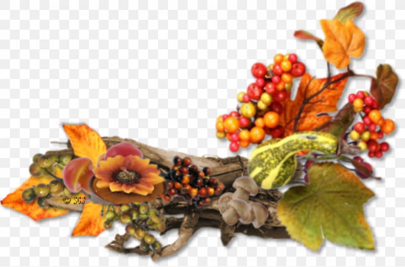 Autumn Blog Season Summer, PNG, 980x647px, Autumn, Blog, Floral Design, Food, Fruit Download Free