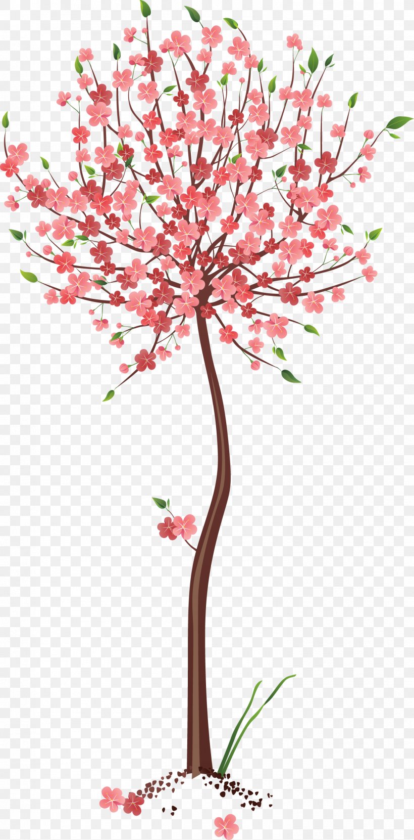 Clip Art Image Tree Drawing, PNG, 1479x2996px, Tree, Art, Autumn, Blossom, Branch Download Free