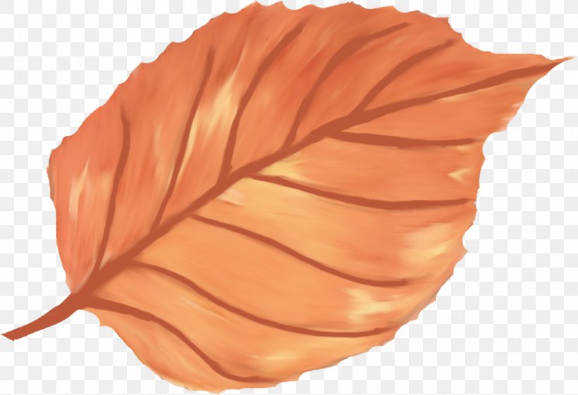 Paper Petal Leaf, PNG, 1141x782px, Paper, Flower, Leaf, Orange, Orange Sa Download Free