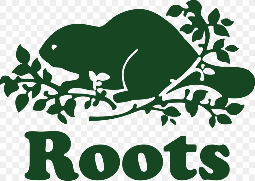 Roots Canada Roots Midtown Plaza Logo Retail Roots McArthurGlen Vancouver, PNG, 1200x851px, Roots Canada, Amphibian, Area, Black And White, Branch Download Free
