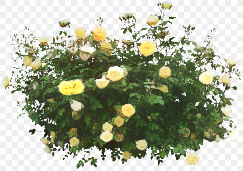 Floral Design Chrysanthemum Shrub Annual Plant Tree, PNG, 1599x1126px, Floral Design, Annual Plant, Austrian Briar, Chrysanthemum, Cinquefoil Download Free