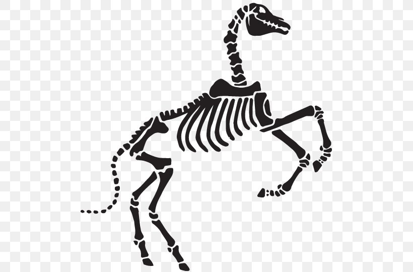 Horse Mammal Zebra Animal Wildlife, PNG, 505x540px, Horse, Animal, Animal Figure, Black And White, Carnivora Download Free